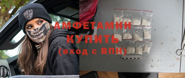твердый Бородино