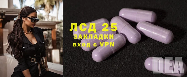 твердый Бородино