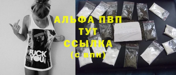 твердый Бородино