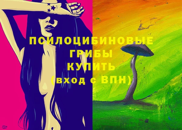 твердый Бородино