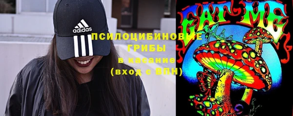 твердый Бородино