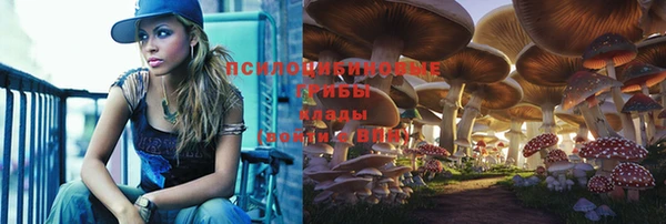 твердый Бородино
