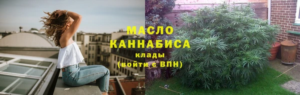 твердый Бородино